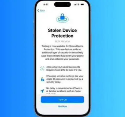 璧山苹果授权维修店分享被盗设备保护功能开启方法 