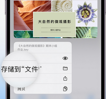 璧山apple维修中心分享iPhone文件应用中存储和找到下载文件