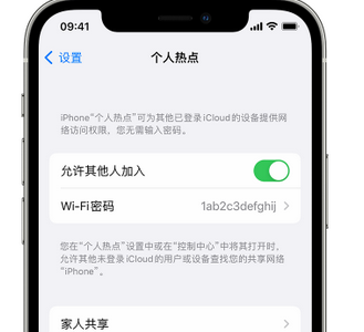 璧山apple服务站点分享iPhone上个人热点丢失了怎么办 