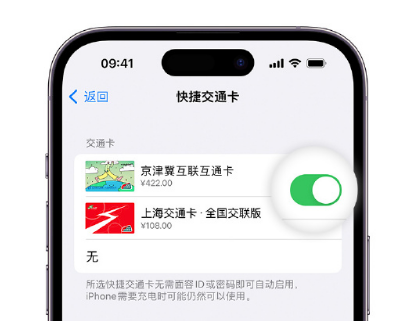 璧山apple维修点分享iPhone上更换Apple Pay快捷交通卡手绘卡面 