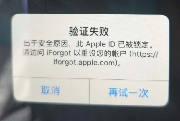 璧山iPhone维修分享iPhone上正常登录或使用AppleID怎么办 