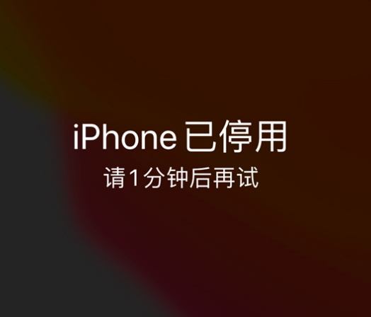 璧山苹果手机维修分享:iPhone 显示“不可用”或“已停用”怎么办？还能保留数据吗？ 