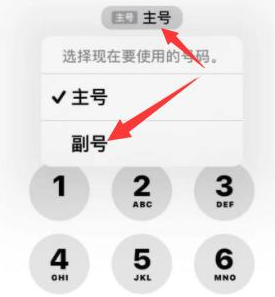 璧山苹果14维修店分享iPhone 14 Pro Max使用副卡打电话的方法 