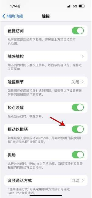 璧山苹果手机维修分享iPhone手机如何设置摇一摇删除文字 