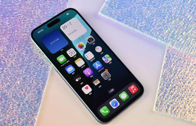 璧山苹果手机维修分享为什么大家不喜欢苹果iPhone 16 Plus 